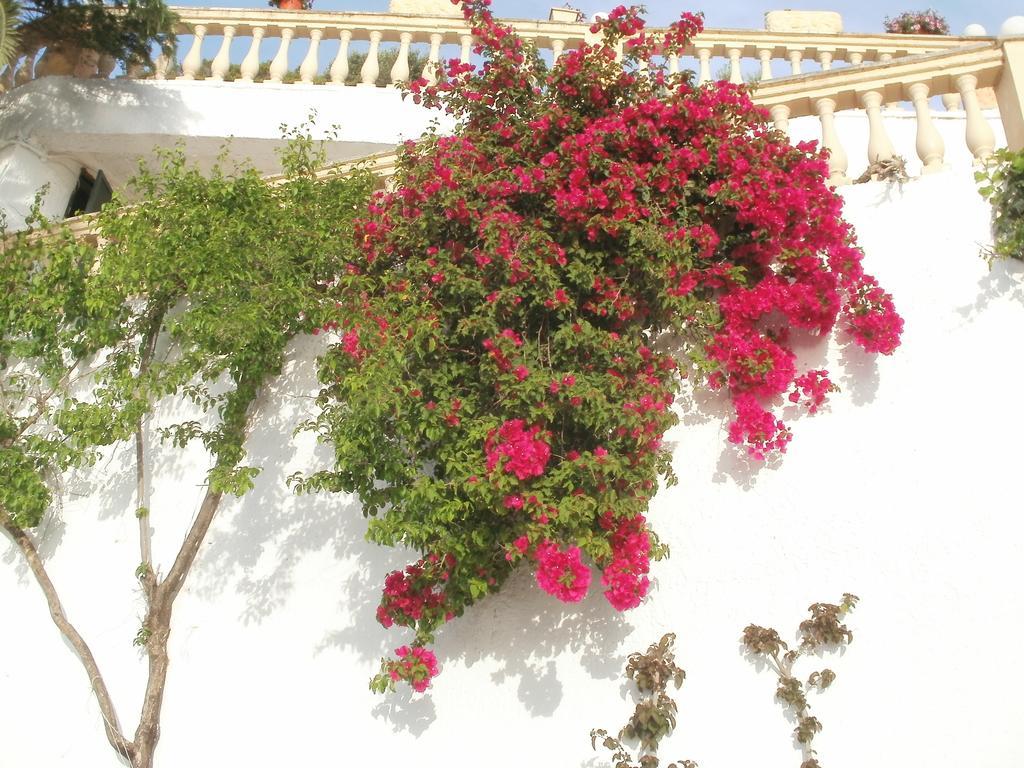 Oniro Villas Corfú Exterior foto
